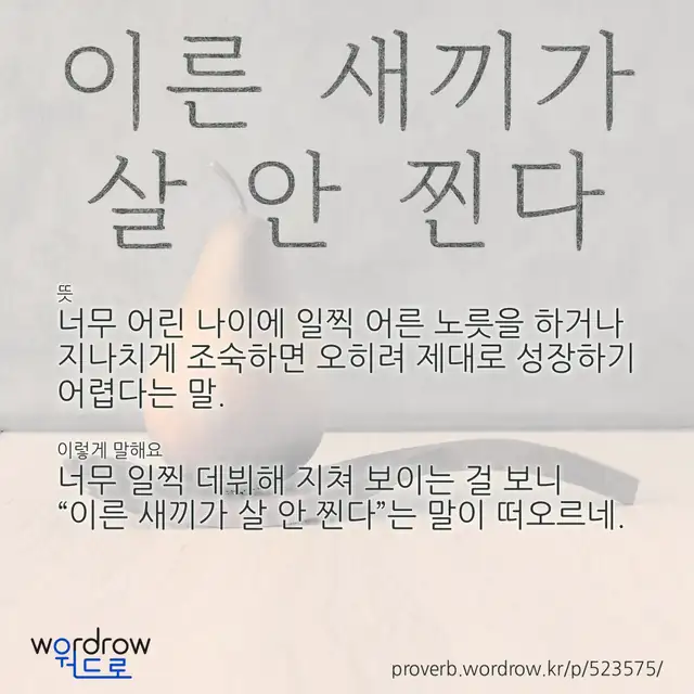 “이른 새끼가 살 안 찐다” 글씨와 뜻·예문이 완성된 속담 영상 포스터