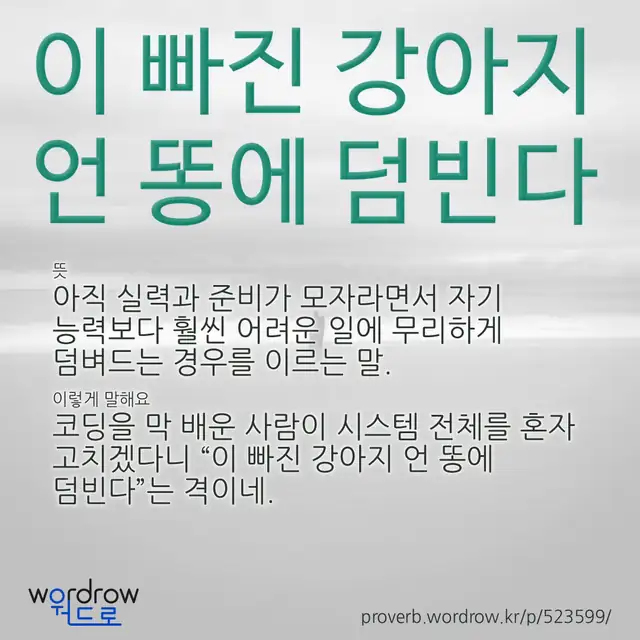 “이 빠진 강아지 언 똥에 덤빈다” 글씨와 뜻·예문이 완성된 속담 영상 포스터