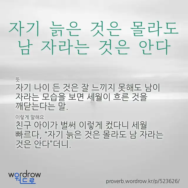 “자기 늙은 것은 몰라도 남 자라는 것은 안다” 글씨와 뜻·예문이 완성된 속담 영상 포스터