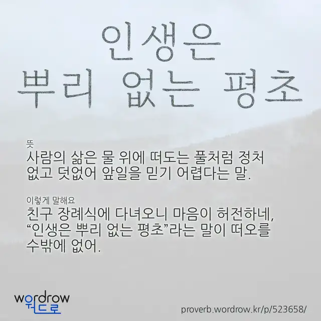 “인생은 뿌리 없는 평초” 글씨와 뜻·예문이 완성된 속담 영상 포스터