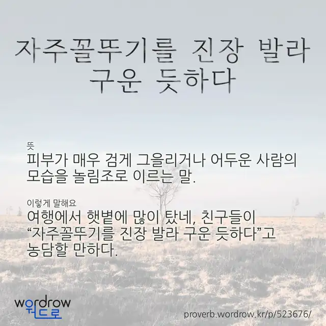 “자주꼴뚜기를 진장 발라 구운 듯하다” 글씨와 뜻·예문이 완성된 속담 영상 포스터