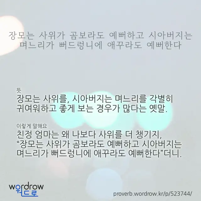 “장모는 사위가 곰보라도 예뻐하고 시아버지는 며느리가 뻐드렁니에 애꾸라도 예뻐한다” 글씨와 뜻·예문이 완성된 속담 영상 포스터