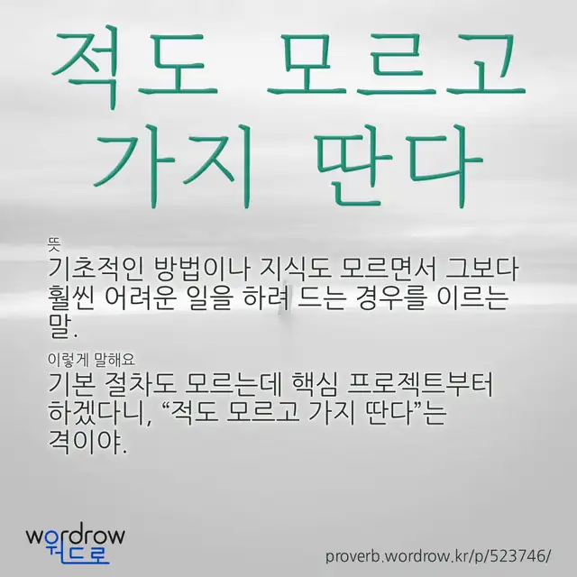 “적도 모르고 가지 딴다” 글씨와 뜻·예문이 완성된 속담 영상 포스터