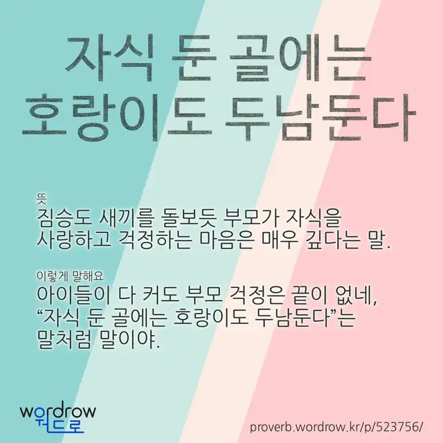 “자식 둔 골에는 호랑이도 두남둔다” 글씨와 뜻·예문이 완성된 속담 영상 포스터