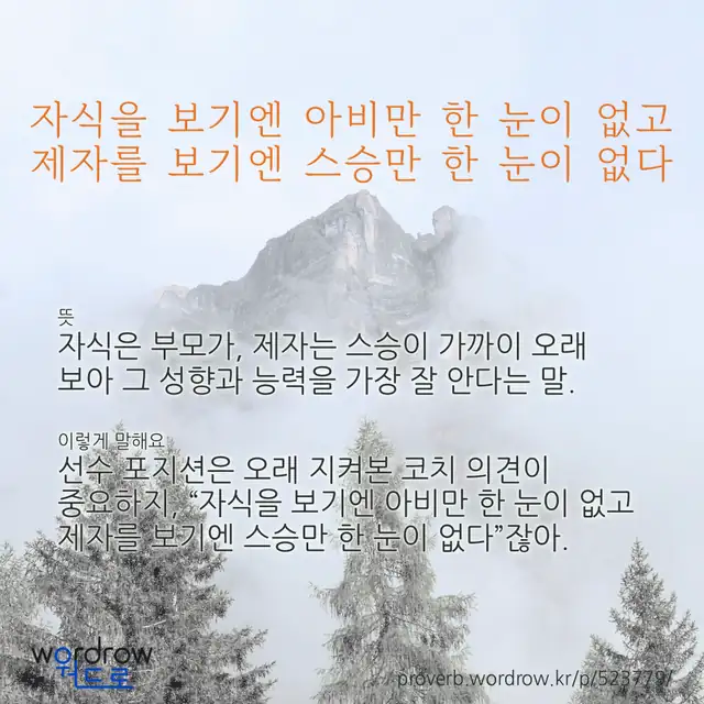 “자식을 보기엔 아비만 한 눈이 없고 제자를 보기엔 스승만 한 눈이 없다” 글씨와 뜻·예문이 완성된 속담 영상 포스터