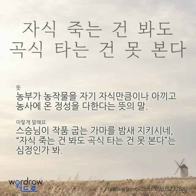“자식 죽는 건 봐도 곡식 타는 건 못 본다” 글씨와 뜻·예문이 완성된 속담 영상 포스터