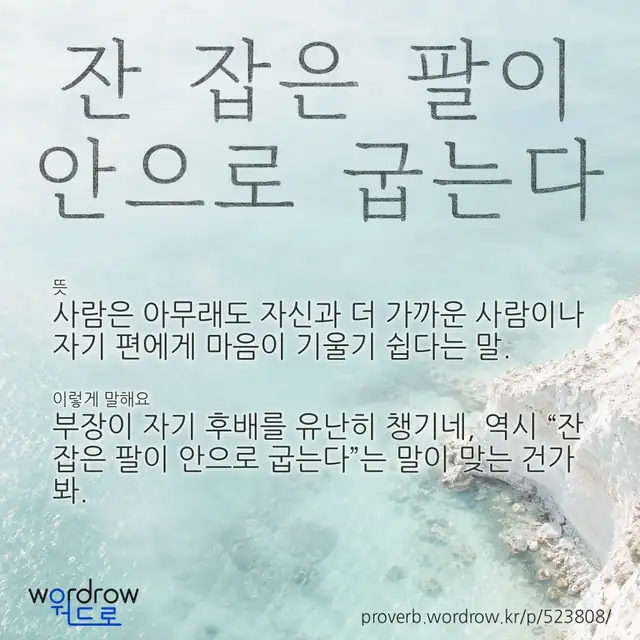 “잔 잡은 팔이 안으로 굽는다” 글씨와 뜻·예문이 완성된 속담 영상 포스터