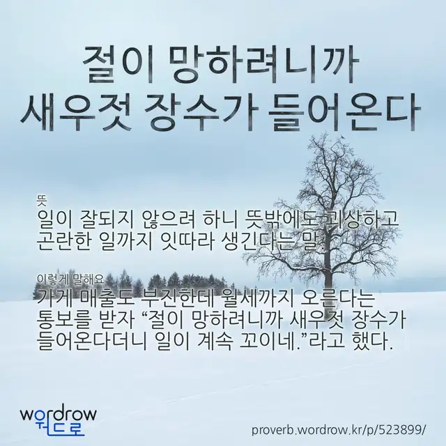 “절이 망하려니까 새우젓 장수가 들어온다” 글씨와 뜻·예문이 완성된 속담 영상 포스터