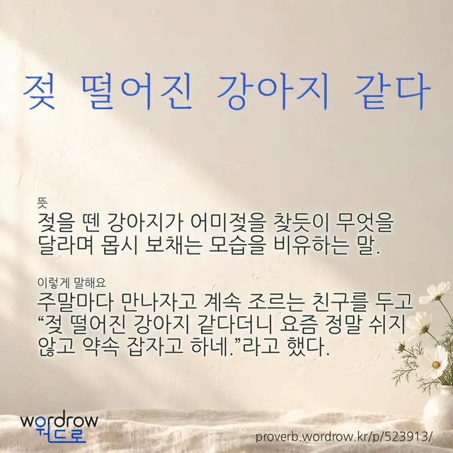“젖 떨어진 강아지 같다” 글씨와 뜻·예문이 완성된 속담 영상 포스터