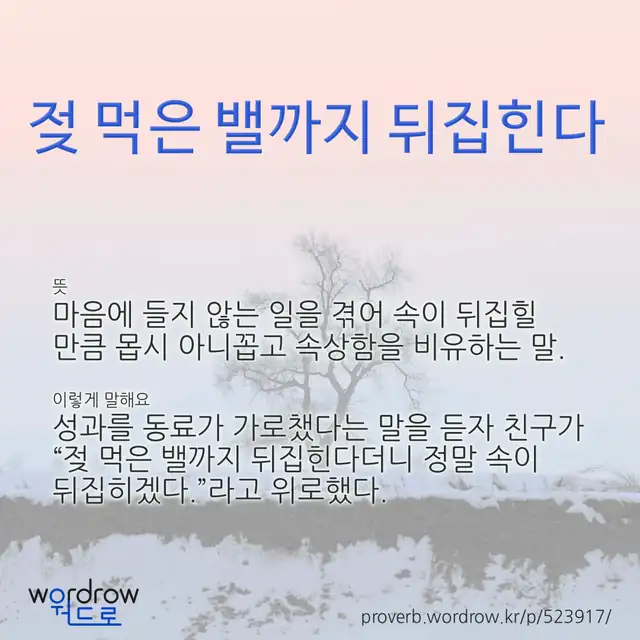 “젖 먹은 밸까지 뒤집힌다” 글씨와 뜻·예문이 완성된 속담 영상 포스터