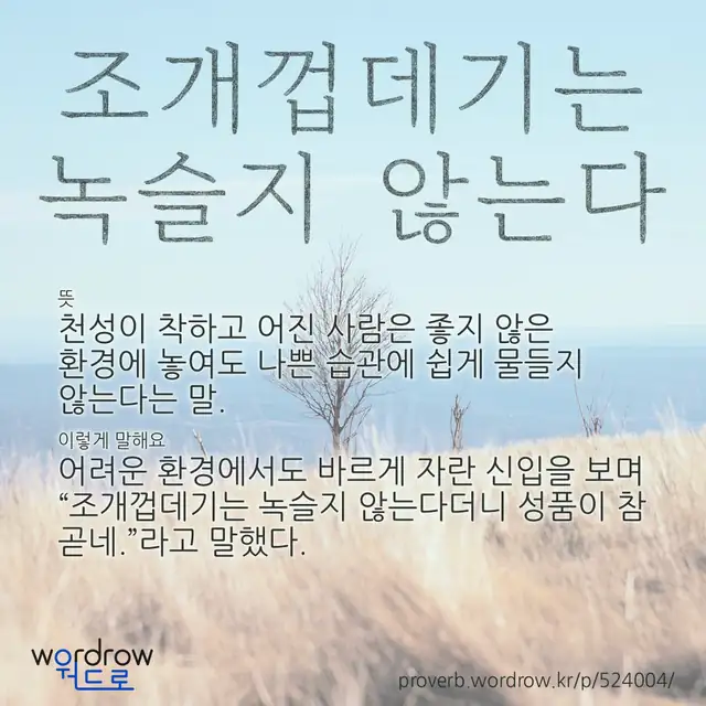 “조개껍데기는 녹슬지 않는다” 글씨와 뜻·예문이 완성된 속담 영상 포스터