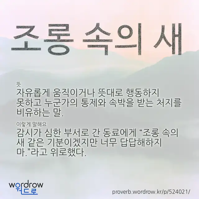“조롱 속의 새” 글씨와 뜻·예문이 완성된 속담 영상 포스터