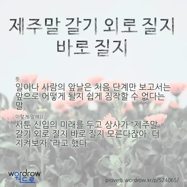“제주말 갈기 외로 질지 바로 질지” 글씨와 뜻·예문이 완성된 속담 영상 포스터