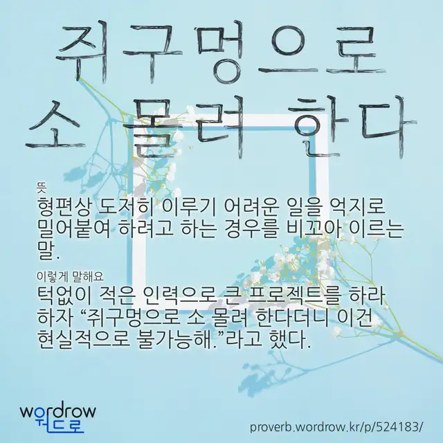 “쥐구멍으로 소 몰려 한다” 글씨와 뜻·예문이 완성된 속담 영상 포스터