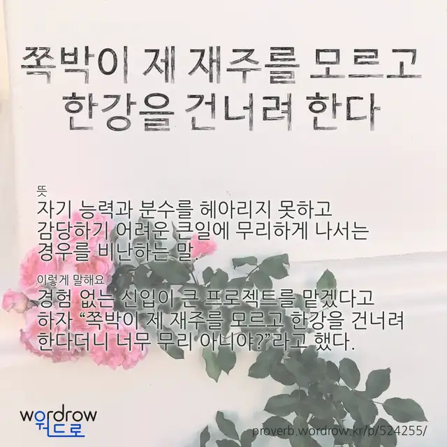 “쪽박이 제 재주를 모르고 한강을 건너려 한다” 글씨와 뜻·예문이 완성된 속담 영상 포스터