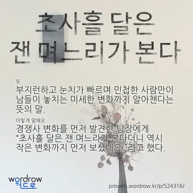“초사흘 달은 잰 며느리가 본다” 글씨와 뜻·예문이 완성된 속담 영상 포스터