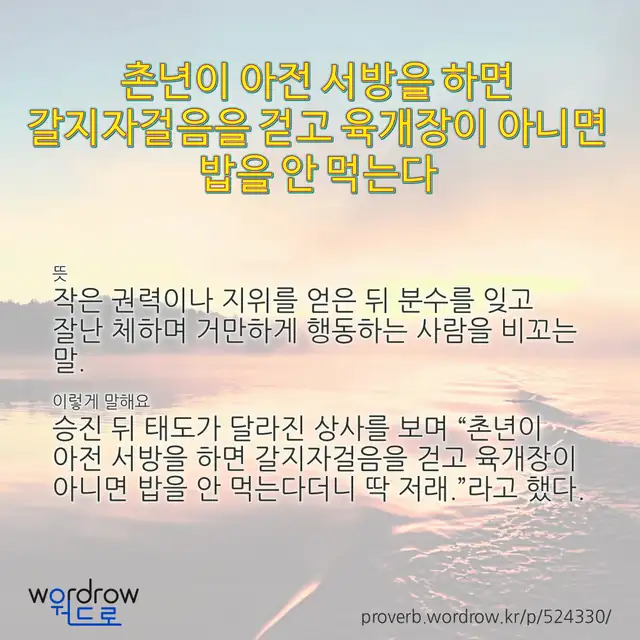 “촌년이 아전 서방을 하면 갈지자걸음을 걷고 육개장이 아니면 밥을 안 먹는다” 글씨와 뜻·예문이 완성된 속담 영상 포스터