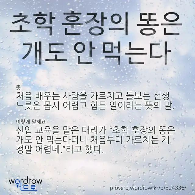 “초학 훈장의 똥은 개도 안 먹는다” 글씨와 뜻·예문이 완성된 속담 영상 포스터