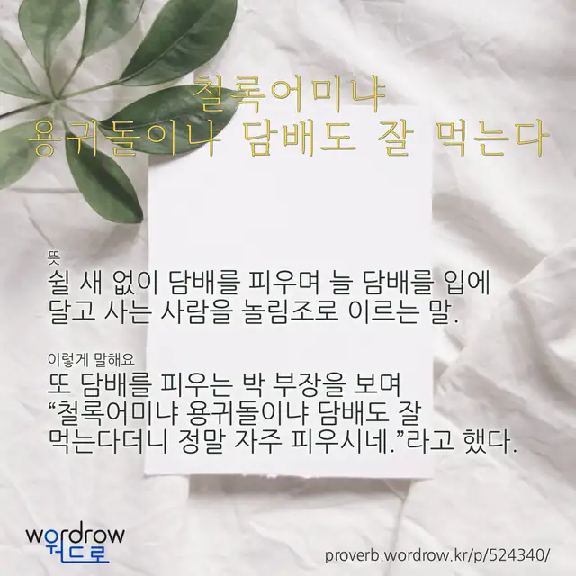 “철록어미냐 용귀돌이냐 담배도 잘 먹는다” 글씨와 뜻·예문이 완성된 속담 영상 포스터