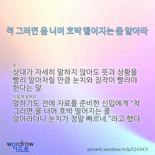 “척 그러면 울 너머 호박 떨어지는 줄 알아라” 글씨와 뜻·예문이 완성된 속담 영상 포스터