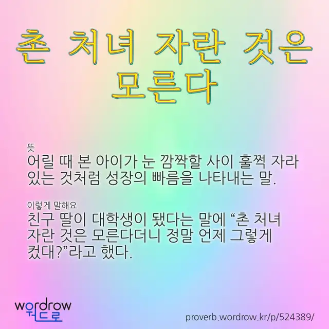 “촌 처녀 자란 것은 모른다” 글씨와 뜻·예문이 완성된 속담 영상 포스터