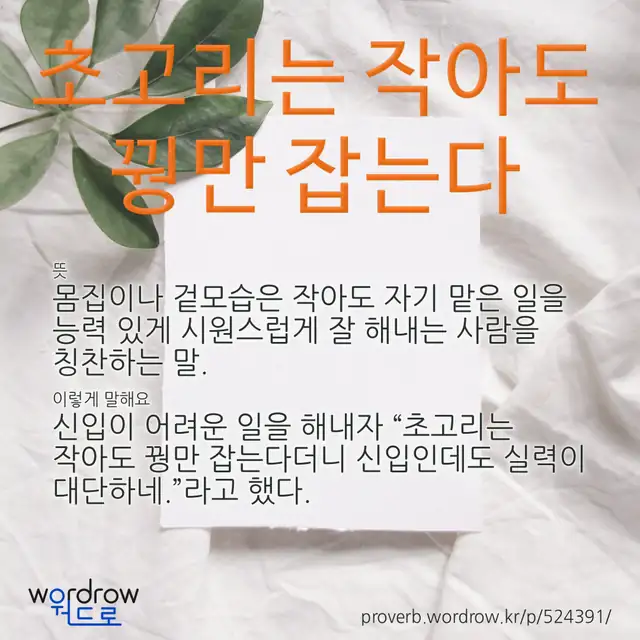 “초고리는 작아도 꿩만 잡는다” 글씨와 뜻·예문이 완성된 속담 영상 포스터
