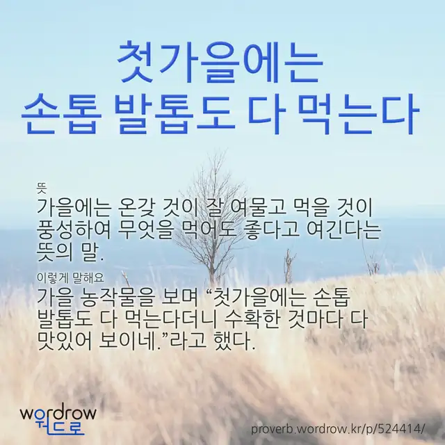 “첫가을에는 손톱 발톱도 다 먹는다” 글씨와 뜻·예문이 완성된 속담 영상 포스터