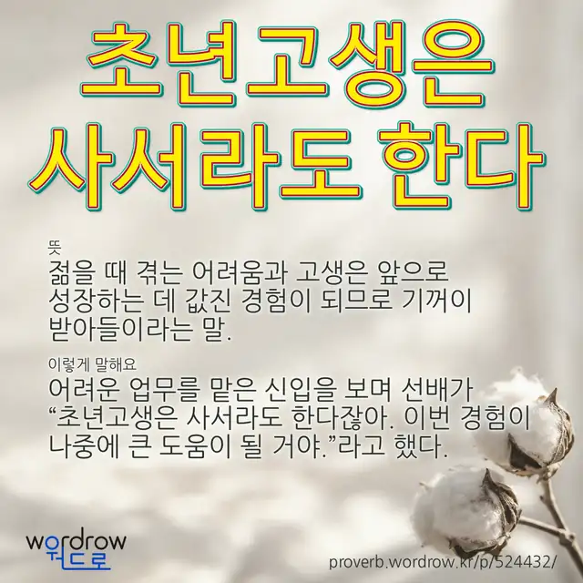 “초년고생은 사서라도 한다” 글씨와 뜻·예문이 완성된 속담 영상 포스터