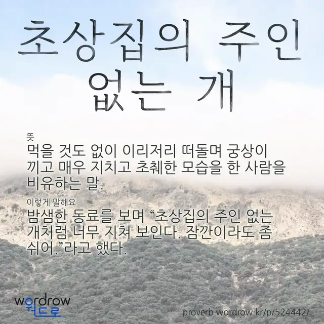“초상집의 주인 없는 개” 글씨와 뜻·예문이 완성된 속담 영상 포스터
