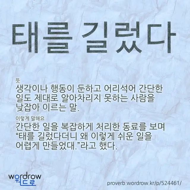 “태를 길렀다” 글씨와 뜻·예문이 완성된 속담 영상 포스터