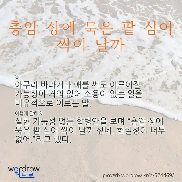 “층암 상에 묵은 팥 심어 싹이 날까” 글씨와 뜻·예문이 완성된 속담 영상 포스터
