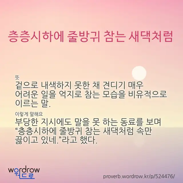 “층층시하에 줄방귀 참는 새댁처럼” 글씨와 뜻·예문이 완성된 속담 영상 포스터