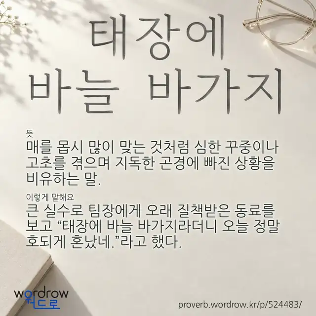 “태장에 바늘 바가지” 글씨와 뜻·예문이 완성된 속담 영상 포스터