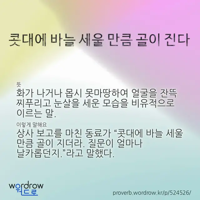 “콧대에 바늘 세울 만큼 골이 진다” 글씨와 뜻·예문이 완성된 속담 영상 포스터