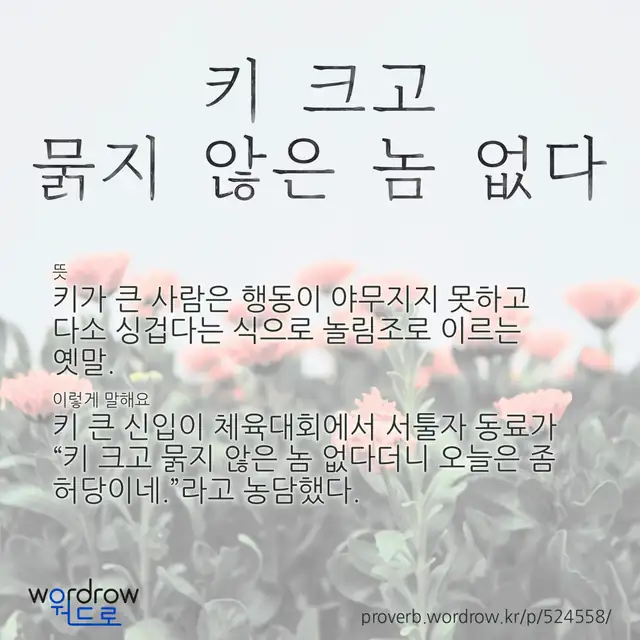 “키 크고 묽지 않은 놈 없다” 글씨와 뜻·예문이 완성된 속담 영상 포스터