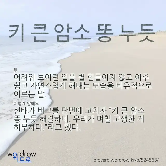“키 큰 암소 똥 누듯” 글씨와 뜻·예문이 완성된 속담 영상 포스터