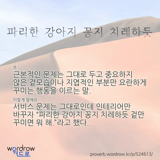 “파리한 강아지 꽁지 치레하듯” 글씨와 뜻·예문이 완성된 속담 영상 포스터