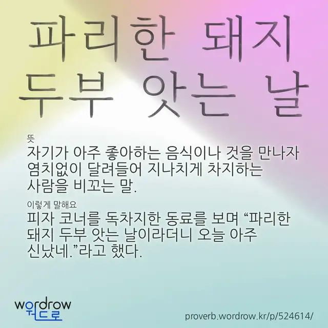 “파리한 돼지 두부 앗는 날” 글씨와 뜻·예문이 완성된 속담 영상 포스터