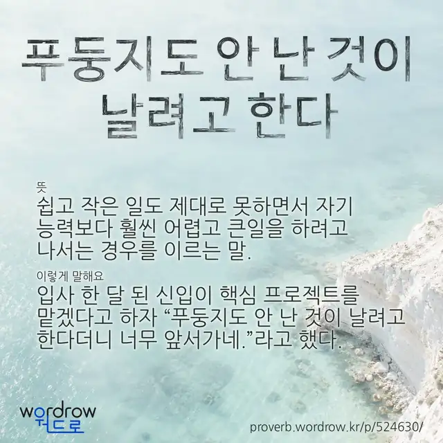“푸둥지도 안 난 것이 날려고 한다” 글씨와 뜻·예문이 완성된 속담 영상 포스터