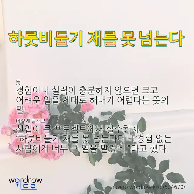 “하룻비둘기 재를 못 넘는다” 글씨와 뜻·예문이 완성된 속담 영상 포스터