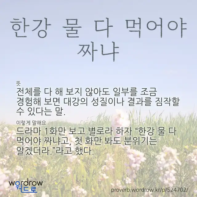 “한강 물 다 먹어야 짜냐” 글씨와 뜻·예문이 완성된 속담 영상 포스터