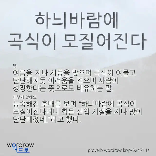 “하늬바람에 곡식이 모질어진다” 글씨와 뜻·예문이 완성된 속담 영상 포스터