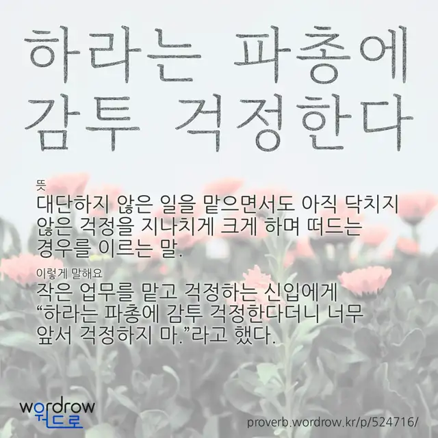 “하라는 파총에 감투 걱정한다” 글씨와 뜻·예문이 완성된 속담 영상 포스터