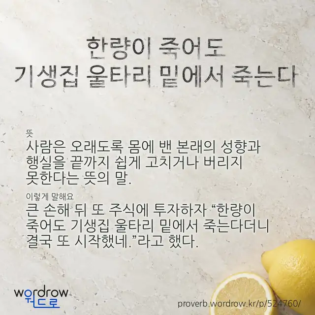 “한량이 죽어도 기생집 울타리 밑에서 죽는다” 글씨와 뜻·예문이 완성된 속담 영상 포스터