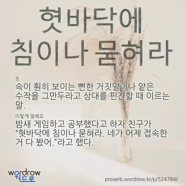 “혓바닥에 침이나 묻혀라” 글씨와 뜻·예문이 완성된 속담 영상 포스터