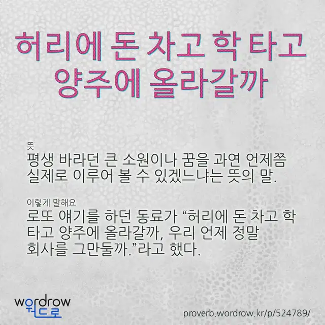 “허리에 돈 차고 학 타고 양주에 올라갈까” 글씨와 뜻·예문이 완성된 속담 영상 포스터