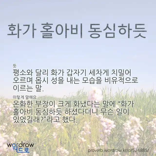 “화가 홀아비 동심하듯” 글씨와 뜻·예문이 완성된 속담 영상 포스터