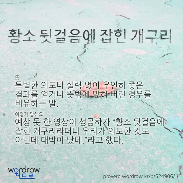 “황소 뒷걸음에 잡힌 개구리” 글씨와 뜻·예문이 완성된 속담 영상 포스터