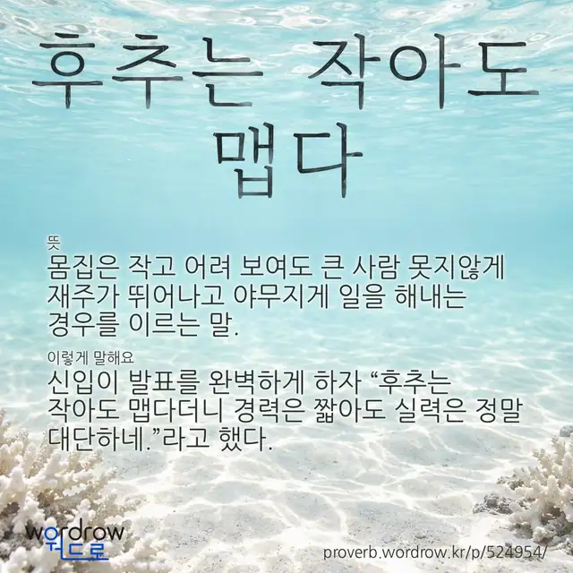 “후추는 작아도 맵다” 글씨와 뜻·예문이 완성된 속담 영상 포스터