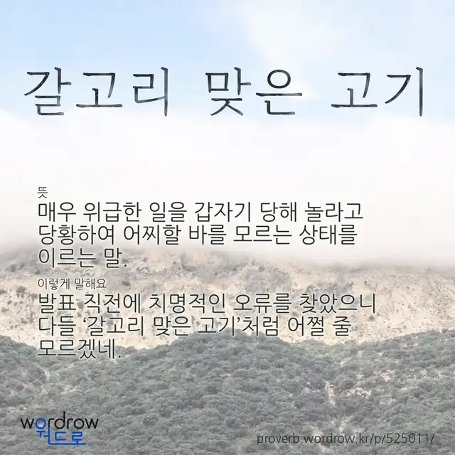 “갈고리 맞은 고기” 글씨와 뜻·예문이 완성된 속담 영상 포스터